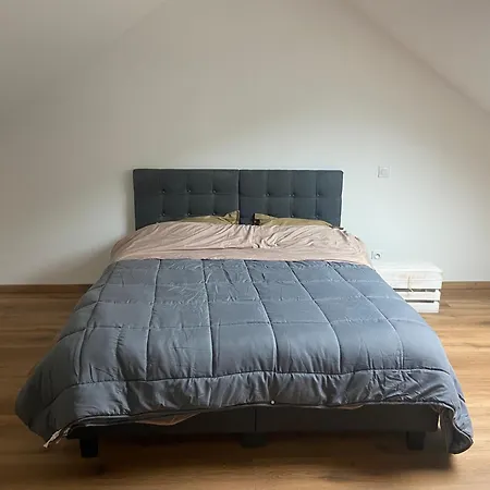 Location Neuf Dans Maison Apartamento